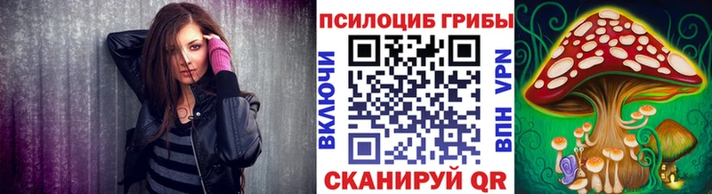 Псилоцибиновые грибы Psilocybe  Купить закладки  Хотьково 